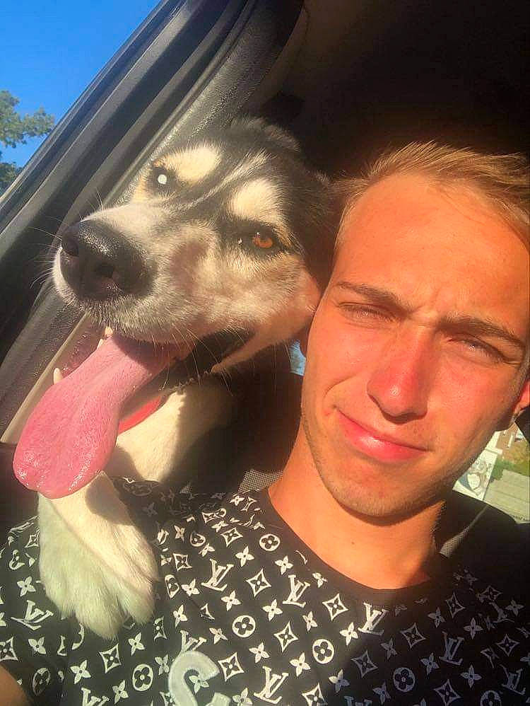 Mandy a rejoint le concours — aidez-le/la à gagner de superbes lots ! carnivore, cool, dog, dog_breed, ear, eyebrow, eyelash, eyewear, fawn, fun, gesture, happy, iris, jaw, mouth, nose, selfie, skin, smile, working_animal