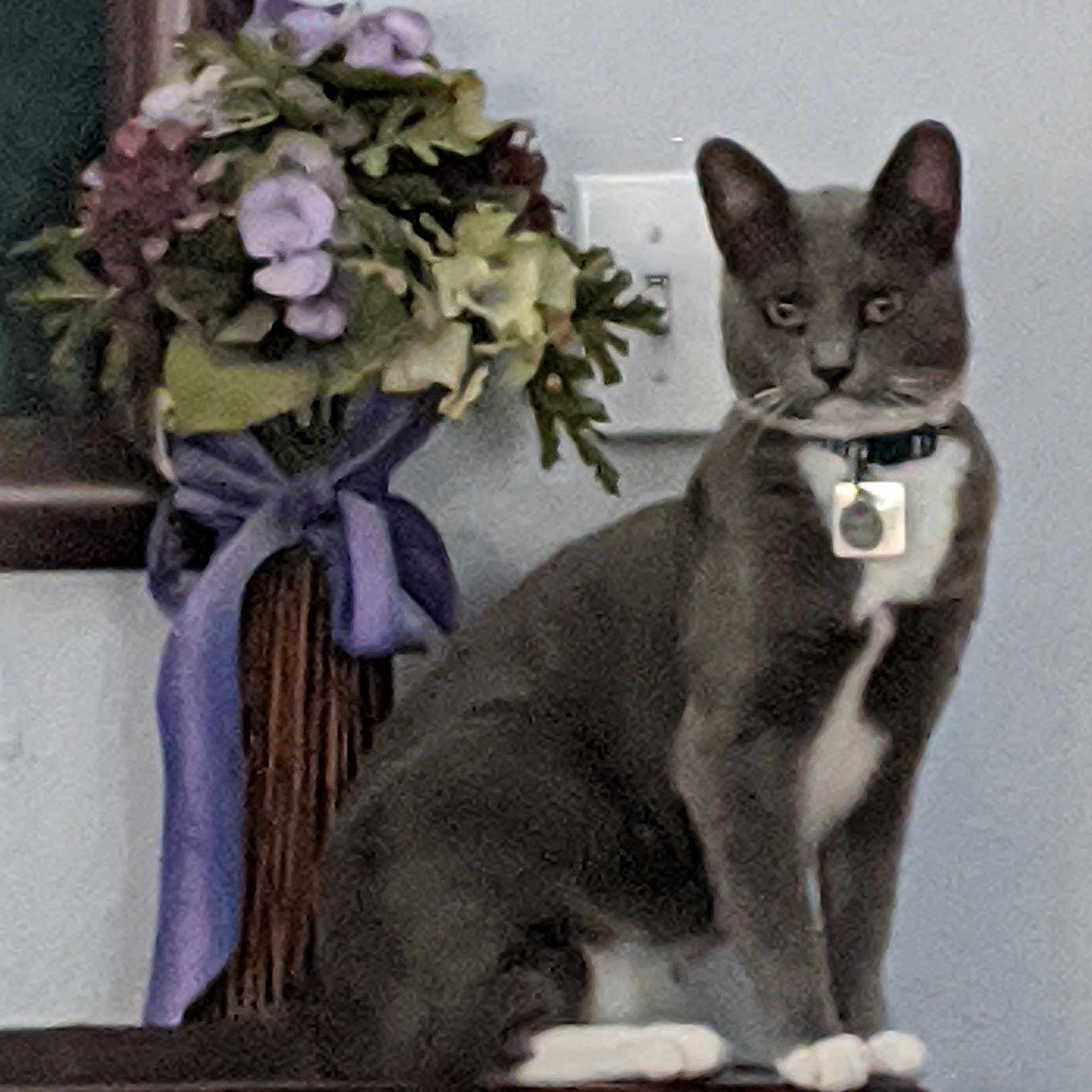 Lord Grayson