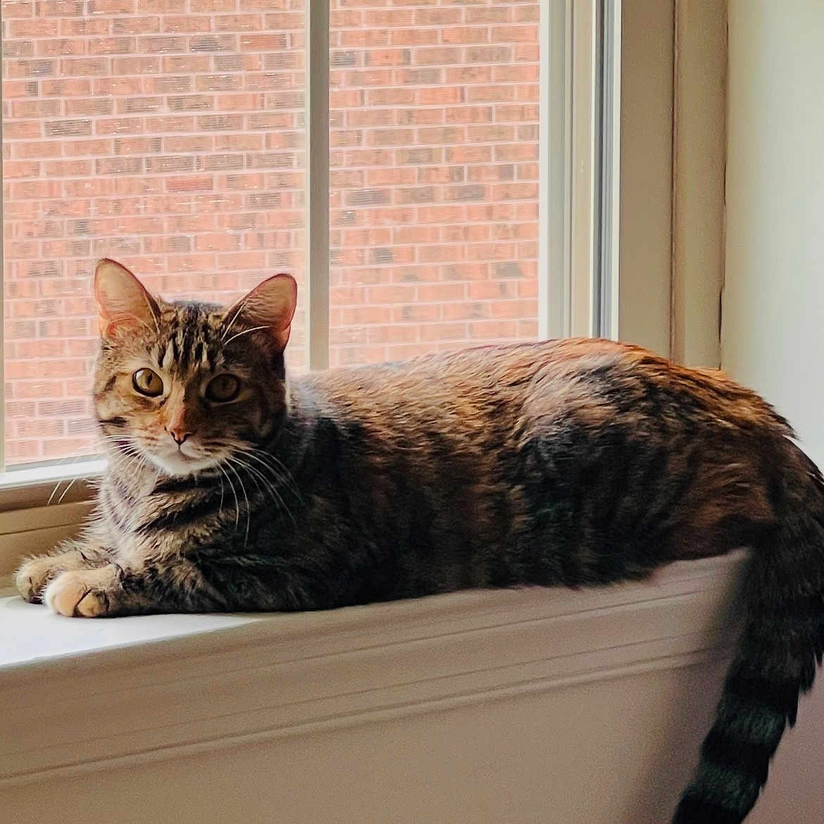 Zoey