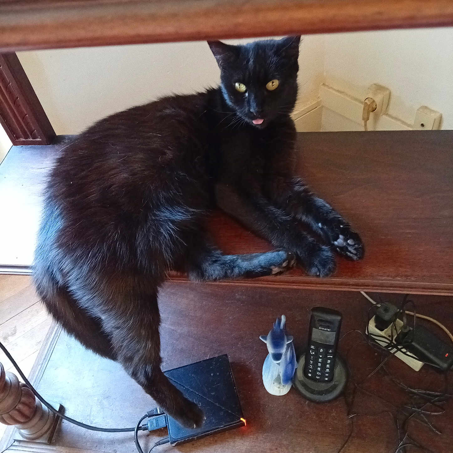 Enya participe au concours pour gagner de l'argent avec cette photo : animal, black_cat, cables, cat, cordless_phone, dragon_figurine, electronics, feline, figurine, funny, furniture, home, indoor, lounging, pet, portrait, sitting, tongue_out, wooden_cabinet, yellow_eyes
