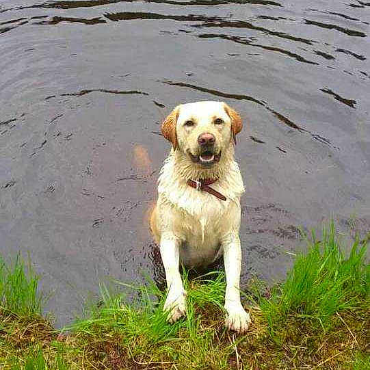 Marley is registered to the contest to win money with this photo:
