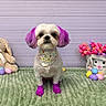 animal, bandana, bunny_toy, colorful, cute, decorations, dog, easter_eggs, floral, flower_basket, green_blanket, indoor, pastel_colors, pet, plush_toy, purple_ears, purple_paws, soft_toy, spring, tulips