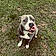 Bruzer