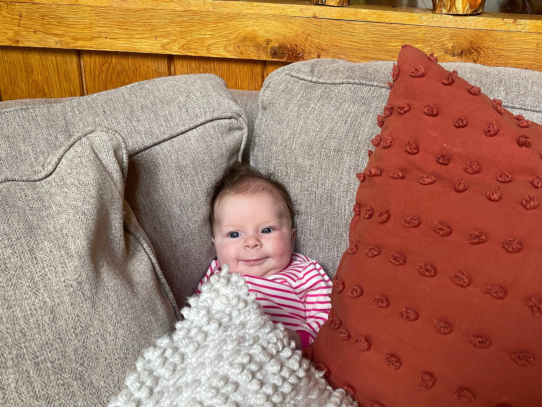 Frankie is registered to the contest to win money with this photo: baby, baby_toddler_clothing, carpet, child, comfort, floor, flooring, grass, hardwood, joy, linens, pattern, person, photograph, rectangle, room, sitting, skin, textile, toddler