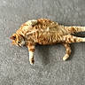 Arthur joined the competition — help win amazing prizes! animal, carpet, cat, cute, domestic_cat, ears, feline, four_legs, fur, indoor, lying_down, mammal, orange_tabby, paws, pet, relaxed, resting, side_view, tail, whiskers