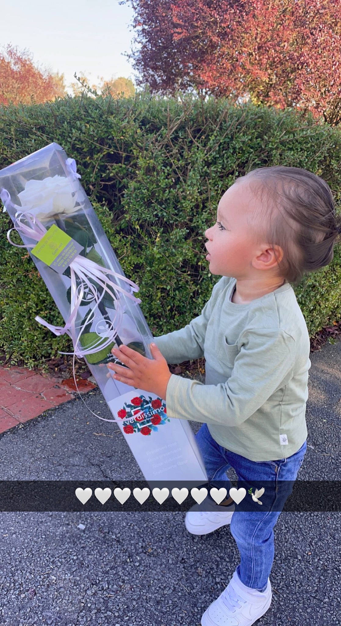 Suhël a rejoint le concours — aidez-le/la à gagner de superbes lots ! art, artist, baby, baby_toddler_clothing, child, fun, garden, grass, leisure, pattern, person, plant, play, recreation, shrub, sitting, t_shirt, toddler, toy, tree