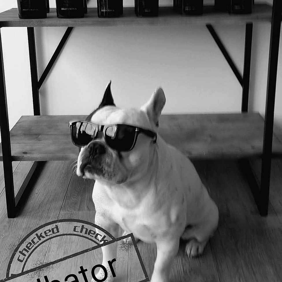 Albator