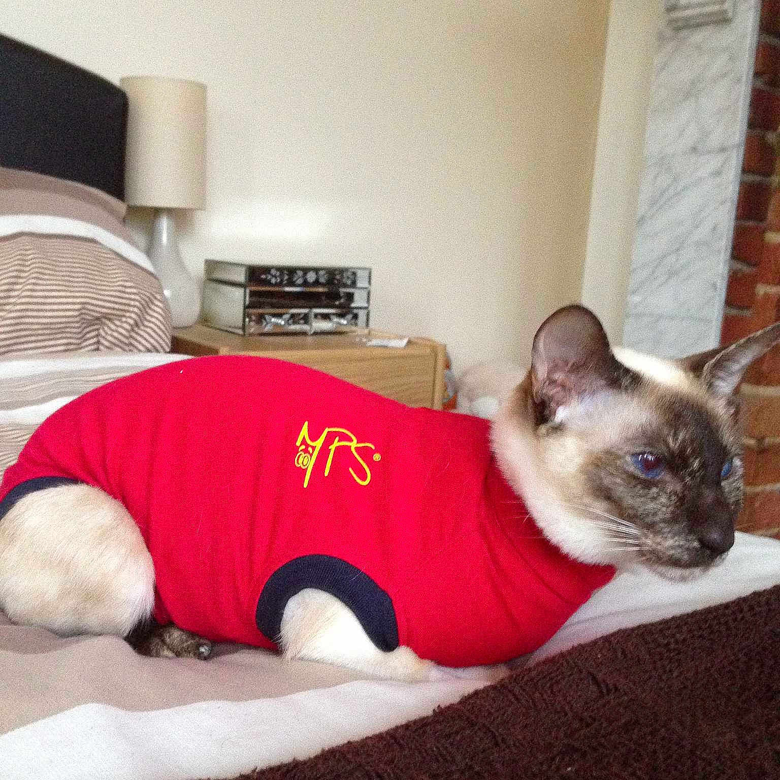 Duchess is registered to the contest to win money with this photo: