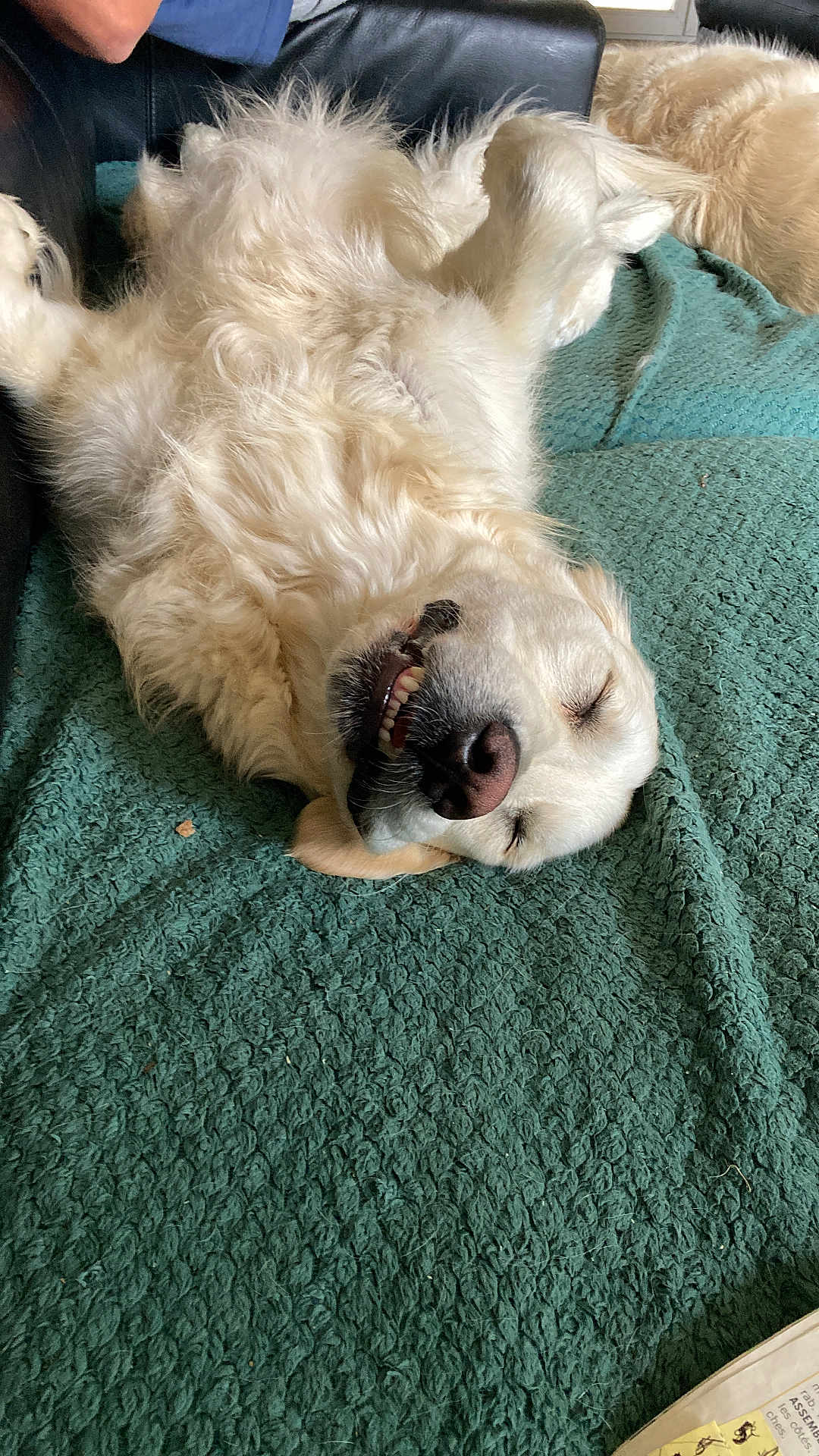 Sam
