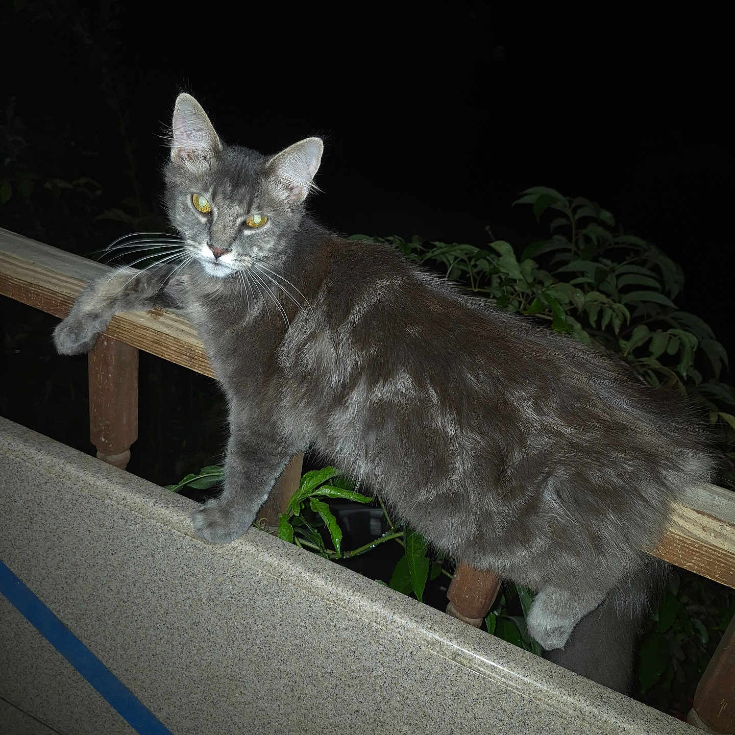 Fluffy