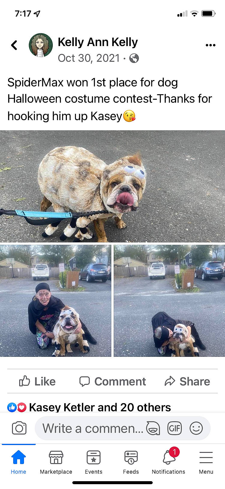 Maximus joined the competition — help win amazing prizes! advertising, asphalt, cameras_optics, car, carnivore, collage, companion_dog, dog, font, motor_vehicle, photo_caption, photograph, plant, snapshot, terrestrial_animal, tire, travel, vertebrate, wheel, working_animal