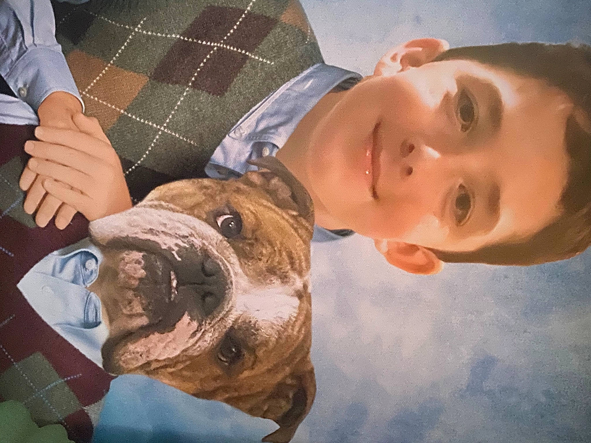 Maximus is registered to the contest to win money with this photo: carnivore, companion_dog, dog, dog_breed, fawn, flash_photography, fun, fur, gesture, happy, jaw, mouth, pattern, plaid, skin, smile, snout, sporting_group, tartan, toddler