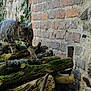 Loki participe au concours pour gagner de l'argent avec cette photo : cat, tabby, animal, outdoor, logs, wood, moss, brick_wall, nature, curious, paws, quiet, stealth, greenery, texture, mammal, young_cat, feline, exploration, rustic