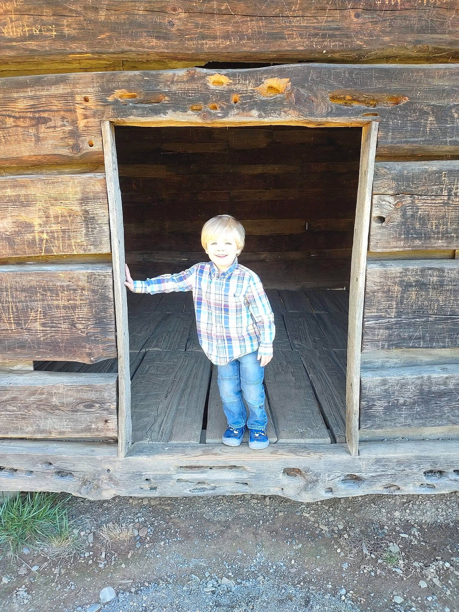Reese is registered to the contest to win money with this photo: brick, brickwork, denim, door, electric_blue, facade, joy, leisure, line, pattern, person, road_surface, sitting, stairs, standing, symmetry, t_shirt, tints_and_shades, toddler, tree