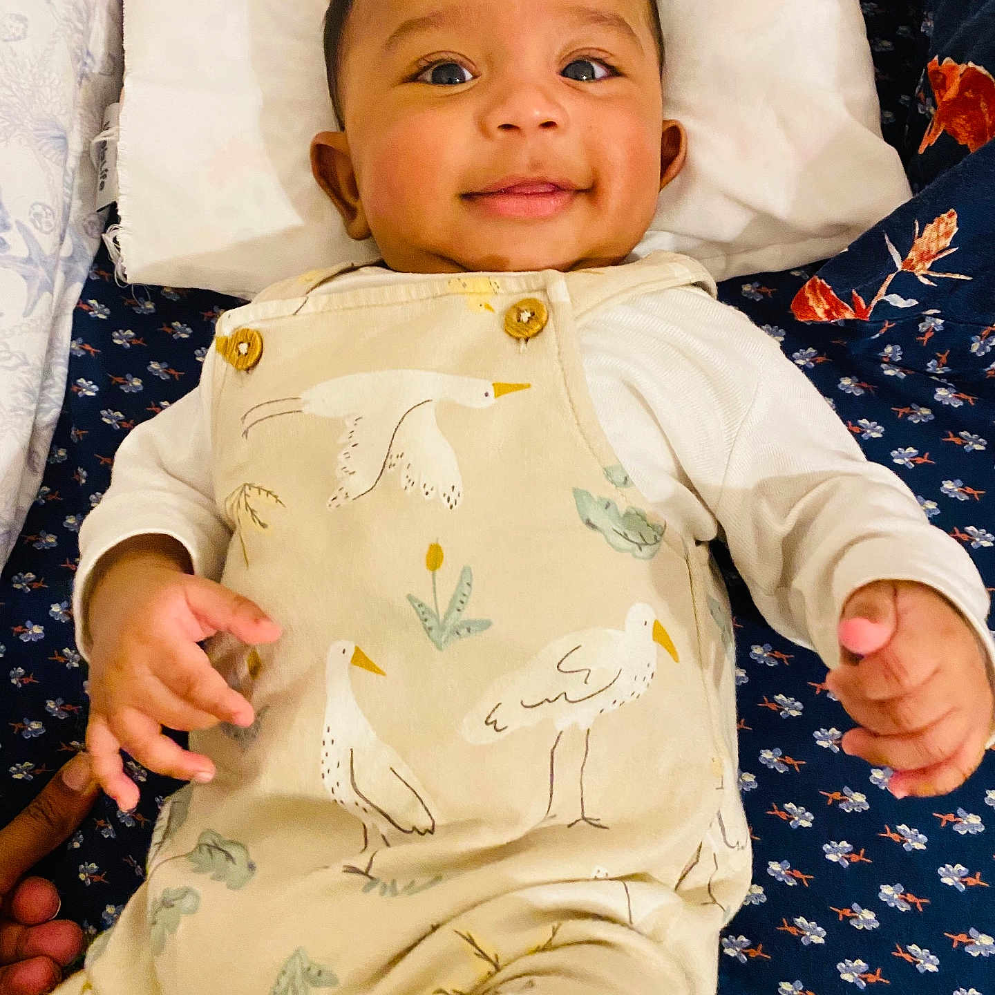Arshan