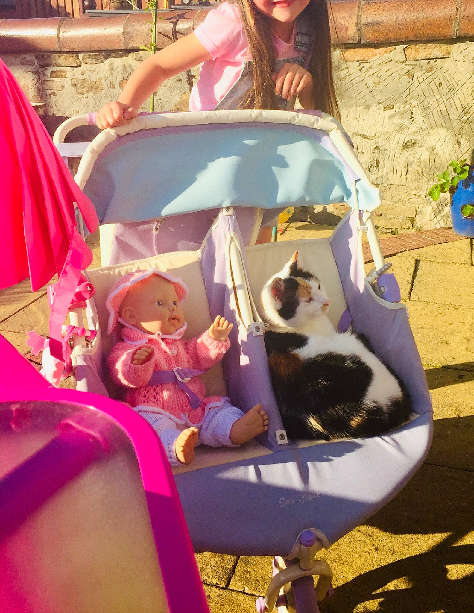 Lulu joined the competition — help win amazing prizes! carnivore, cat, child, doll, event, eyewear, fashion_accessory, felidae, fun, grass, happy, leisure, magenta, pink, purple, recreation, sitting, sunglasses, tints_and_shades, toy