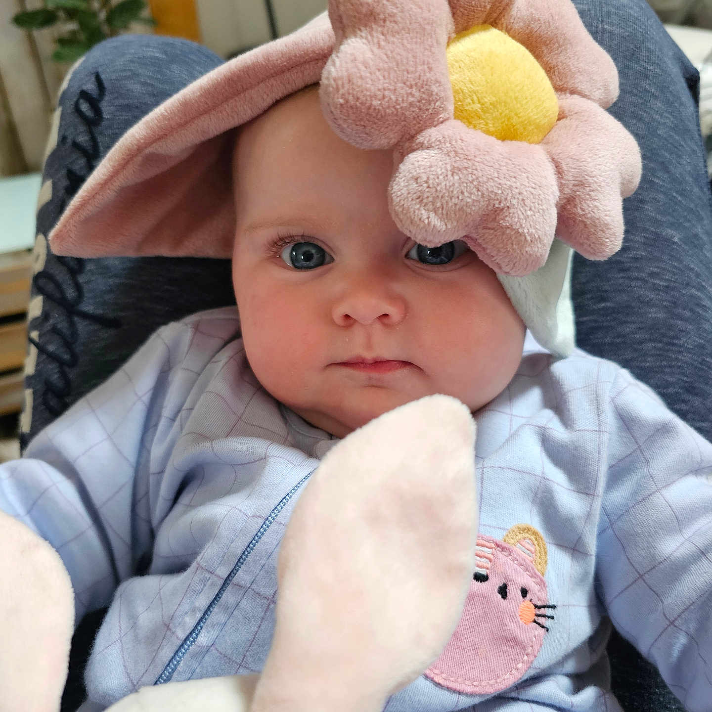 Liya participe au concours pour gagner de l'argent avec cette photo : baby, child, plush_toy, flower_hat, blue_eyes, cozy_clothing, cute, indoor, portrait, soft_texture, bunny, hat, infant, childrens_fashion, comfort, closeup, sitting, face, expression, adorable
