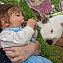 toddler, child, rabbit, animal, ear, hand, outdoor, greenery, flag, owl, person, holding, cute, curious, face, nature, baby, playful, portrait, daylight
