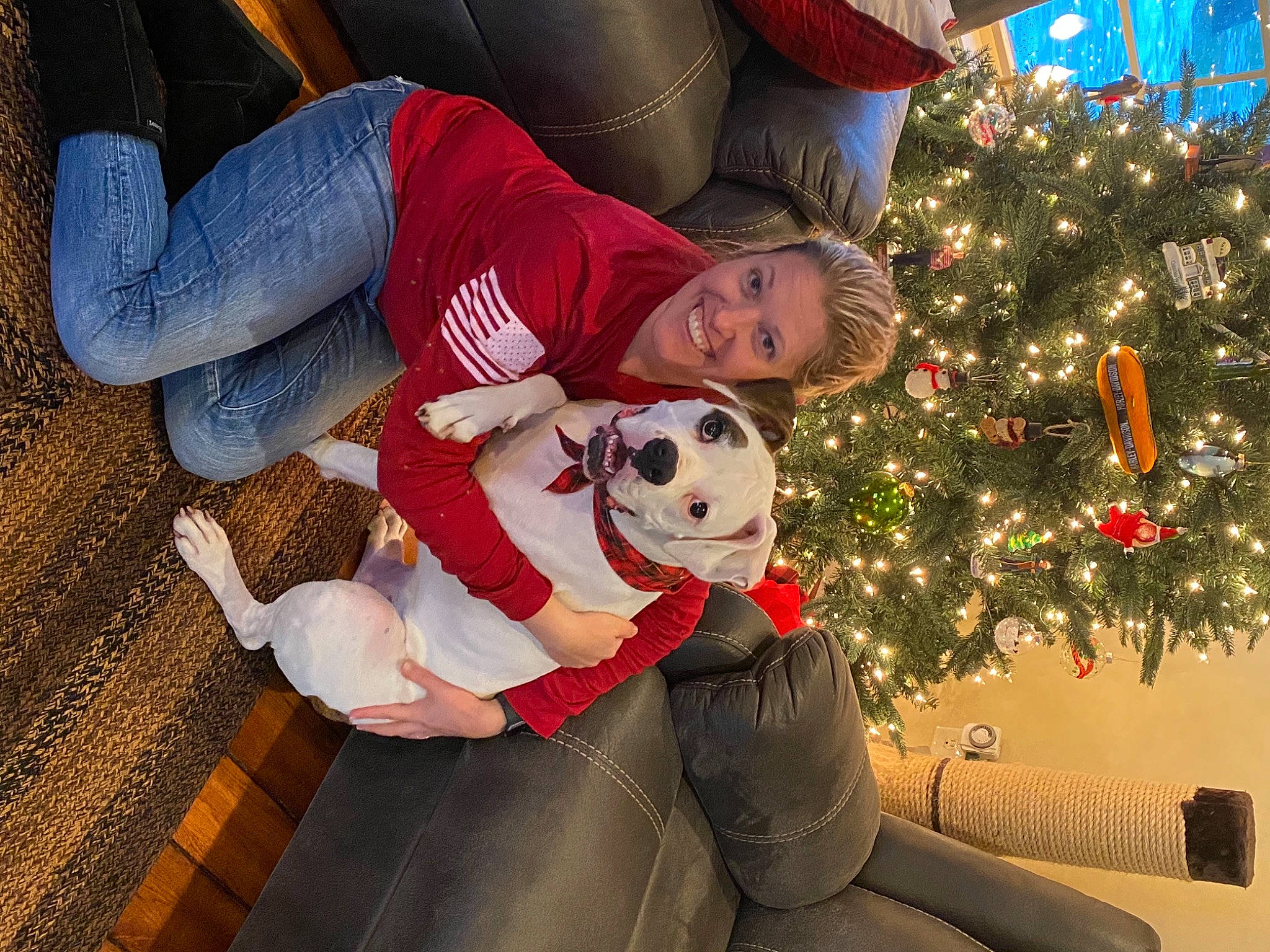 Titus is registered to the contest to win money with this photo: carmine, christmas, christmas_decoration, christmas_eve, christmas_lights, christmas_ornament, christmas_tree, conifer, football, fur, holiday, holiday_ornament, interior_design, ornament, plush, shoe, sneakers, soccer_ball, stuffed_toy, toy