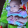 baby, child, infant, baby_seat, colorful, animal_print, green, harness, striped_shirt, pastel_colors, curious_expression, indoor, person, face, hands, clothing, sitting, young, cute, resting
