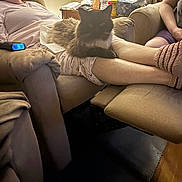 Siam joined the competition — help win amazing prizes! cat, person, armchair, living_room, recliner, couch, home, relaxing, furniture, tissue_box, bottle, socks, legs, table, lamp, curtains, wood_floor, cozy, indoor, casual