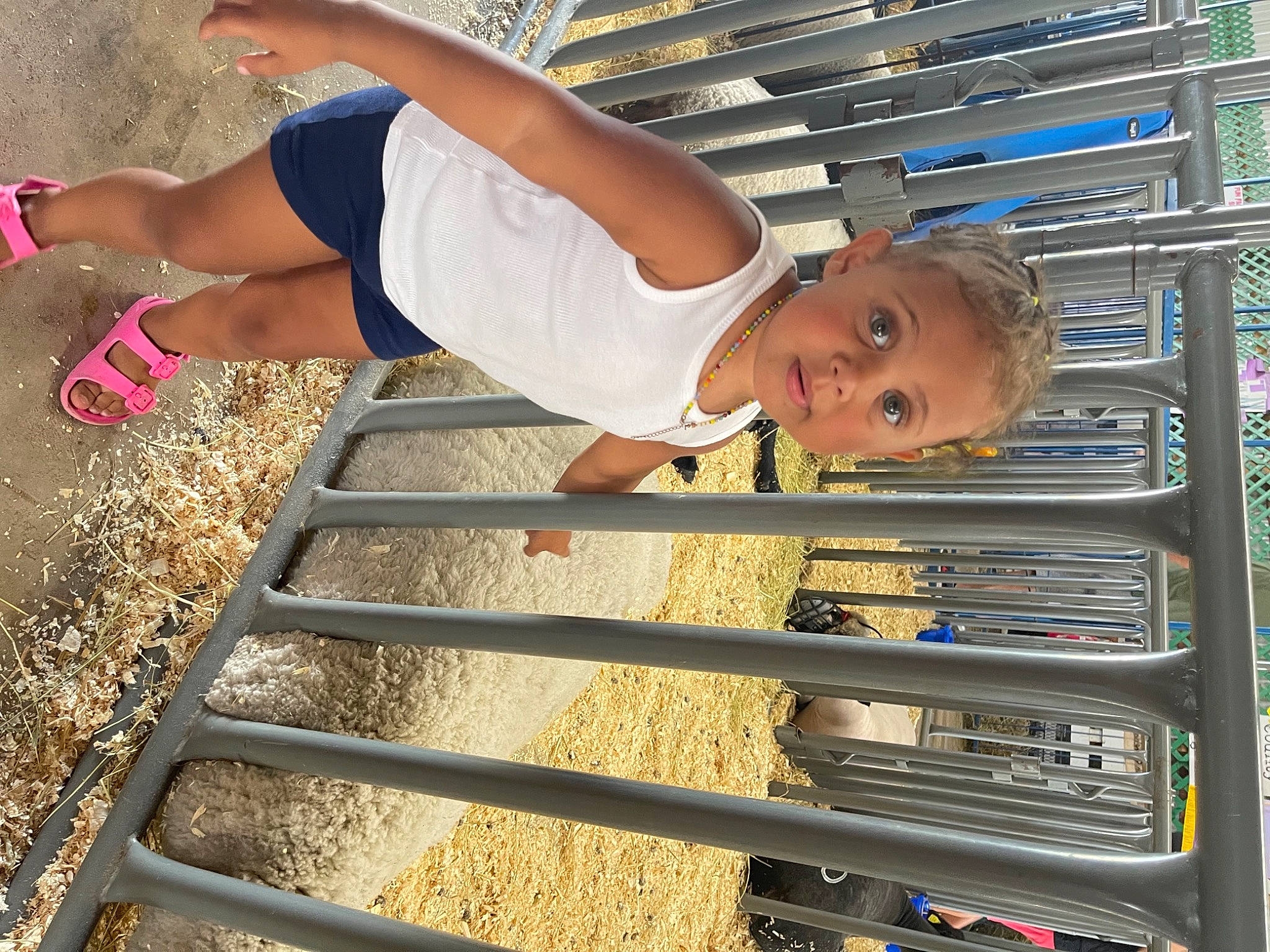 Arielle is registered to the contest to win money with this photo: automotive_exterior, chest, child, elbow, fun, happy, human_leg, leisure, people_in_nature, person, product, shelf, smile, snapshot, soil, sunglasses, t_shirt, thigh, toddler, waist