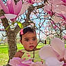 Alaia is registered to the contest to win money with this photo: toddler, child, flower, magnolia, pink_bow, nature, outdoor, spring, tree, green_grass, sunlight, portrait, cute, curious, face, blossom, park, daylight, baby, colorful