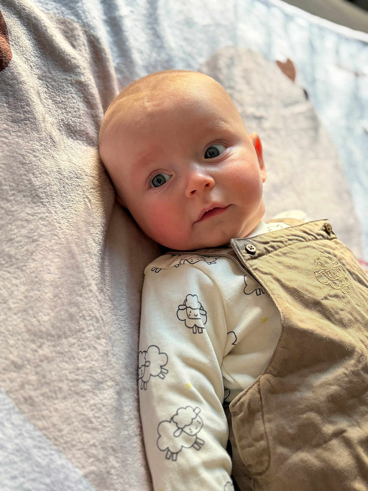 Néo participe au concours pour gagner de l'argent avec cette photo : baby, infant, child, onesie, overalls, sheep_pattern, blanket, face, eyes, head, skin, clothing, soft_light, indoors, portrait, cute, lying_down, expression, young, person