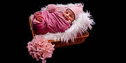Laya is registered to the contest to win money with this photo: newborn, baby, pink, blanket, hat, wicker_basket, fluffy, white_fur, flowers, pink_flowers, smiling, sleeping, cute, portrait, infant, wrapped, cozy, soft_texture, dark_background, studio_photo