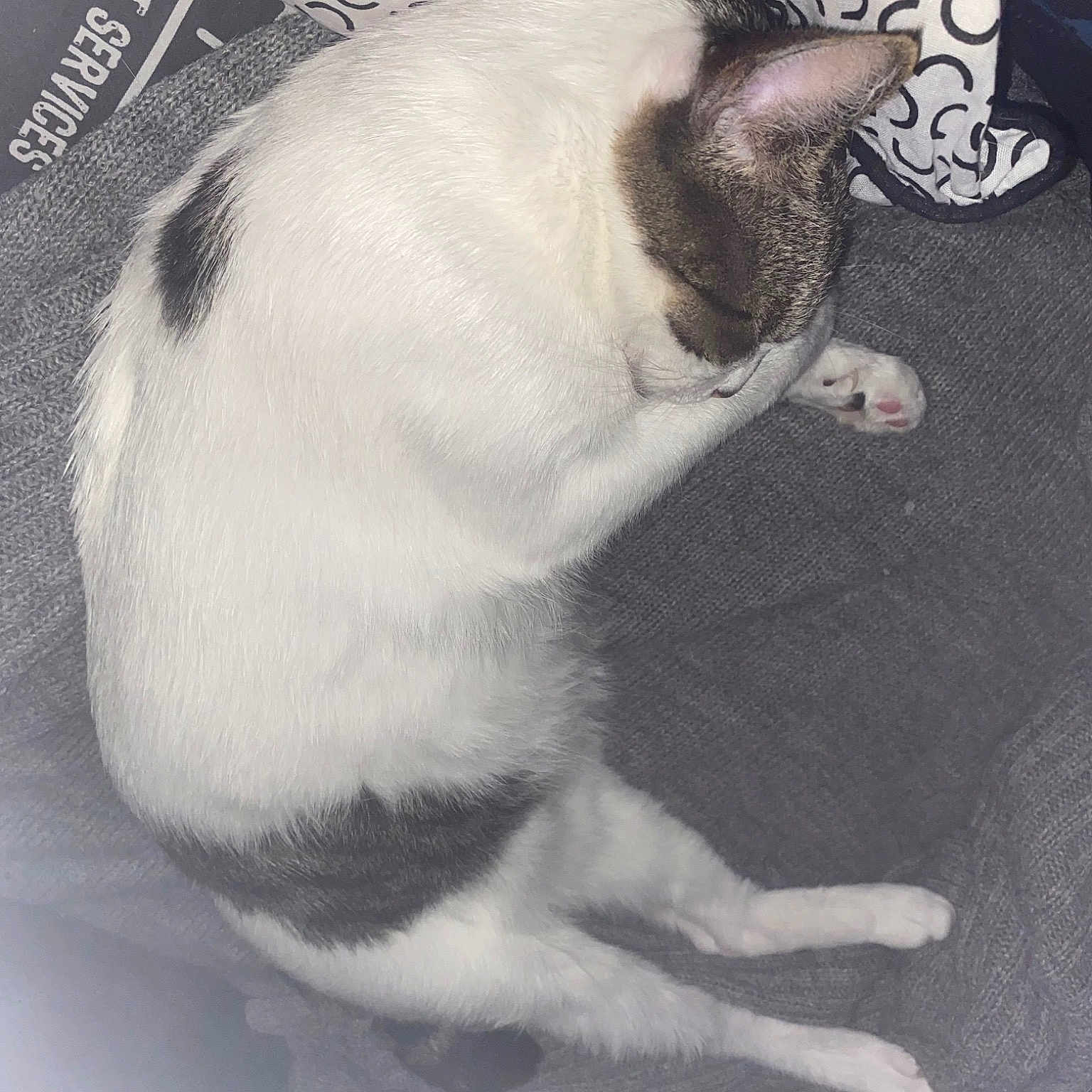 Knedelle Ma Poupouchinette