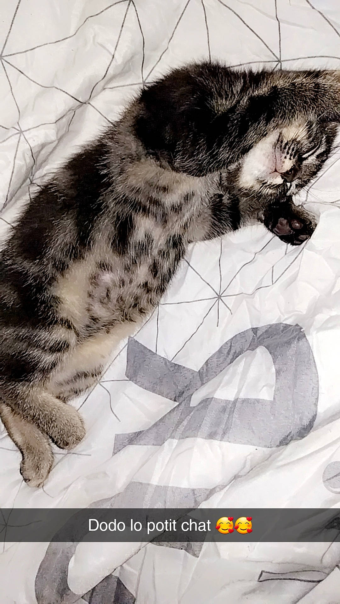 Nuage a rejoint le concours — aidez-le/la à gagner de superbes lots ! art, canidae, carnivore, cat, claw, dog_breed, domestic_short_haired_cat, drawing, felidae, foot, fur, gesture, illustration, paw, small_to_medium_sized_cats, snout, sporting_group, tail, terrestrial_animal, whiskers