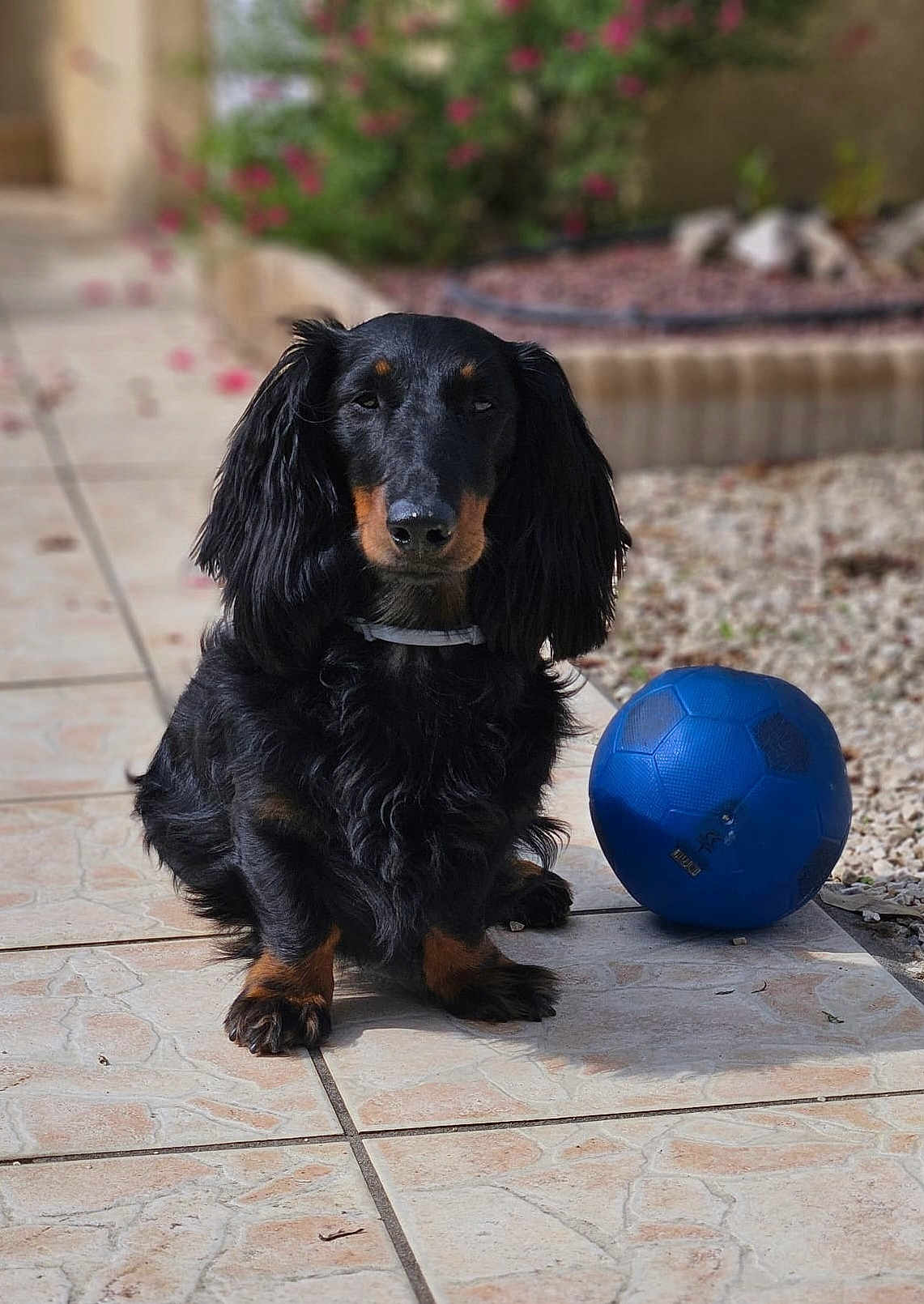 Charly