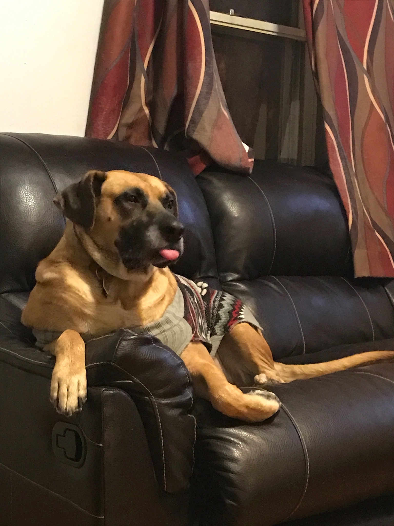 Brody