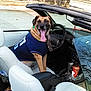 Brody is registered to the contest to win money with this photo: boat, car, dog, dog_breed, dog_like_mammal, fun, motor_vehicle, snout, vehicle, vehicle_door