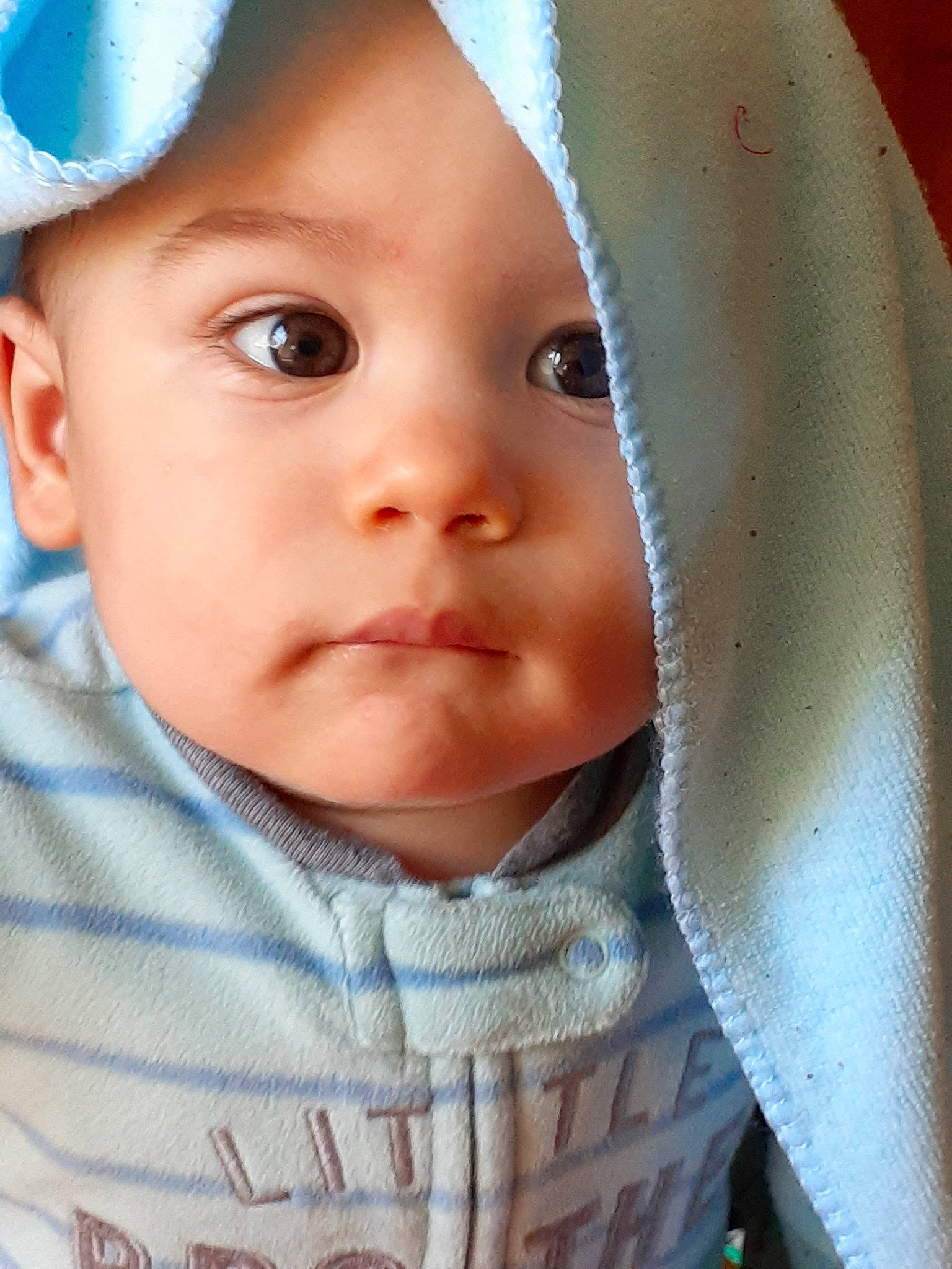 Brock joined the competition — help win amazing prizes! baby, cheek, child, chin, close_up, eye, eyebrow, eyelash, face, forehead, head, lip, mouth, nose, person, skin, smile, toddler