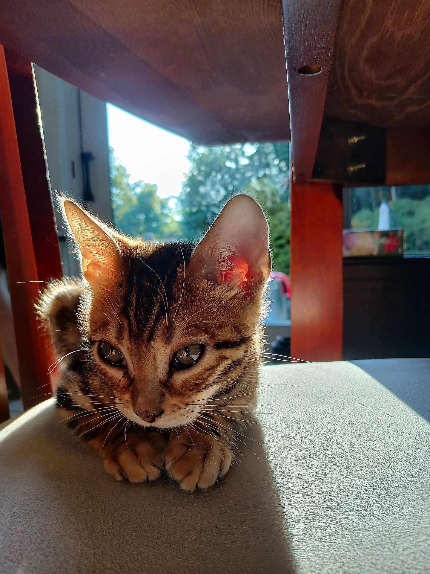 Leo