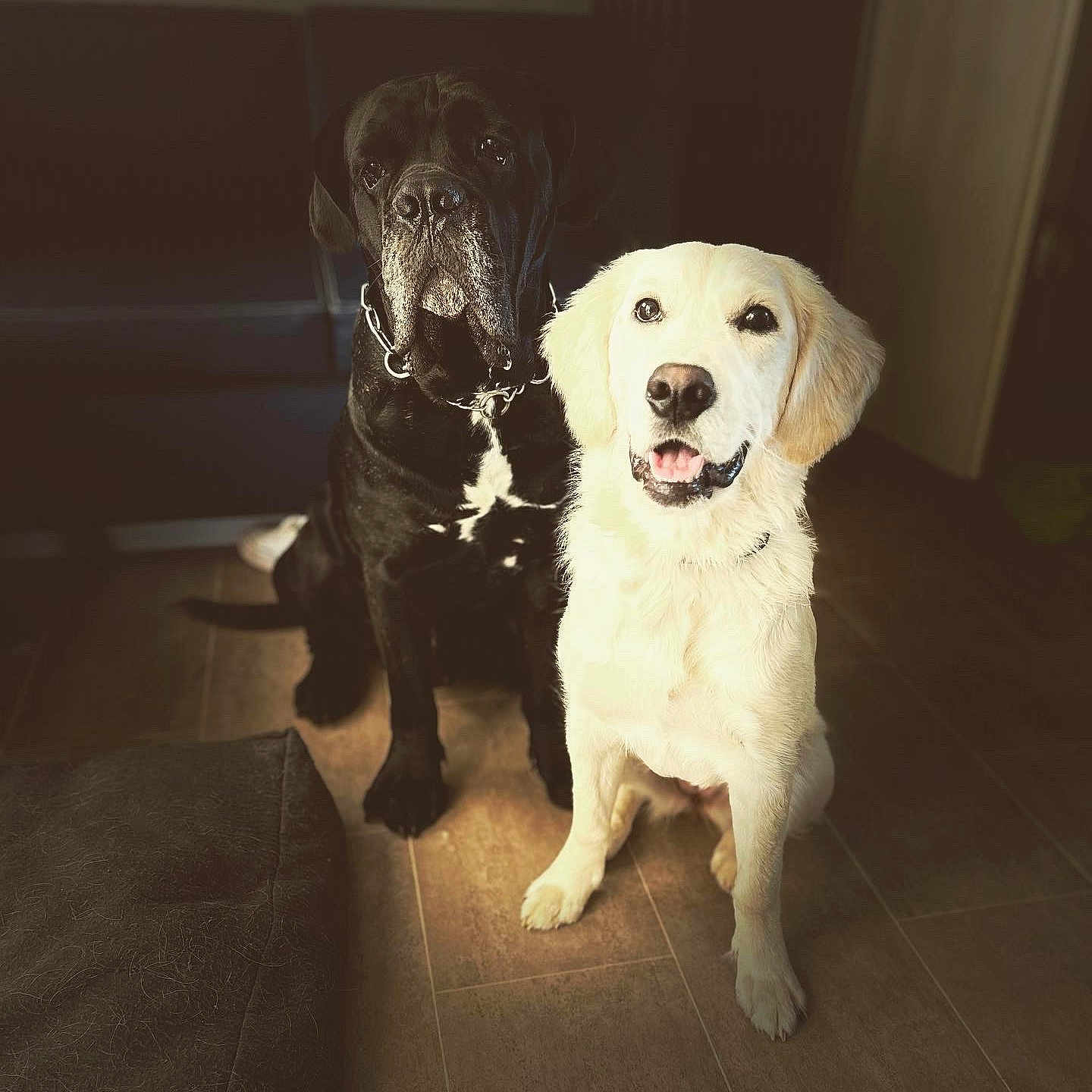 Texas Et Rocky