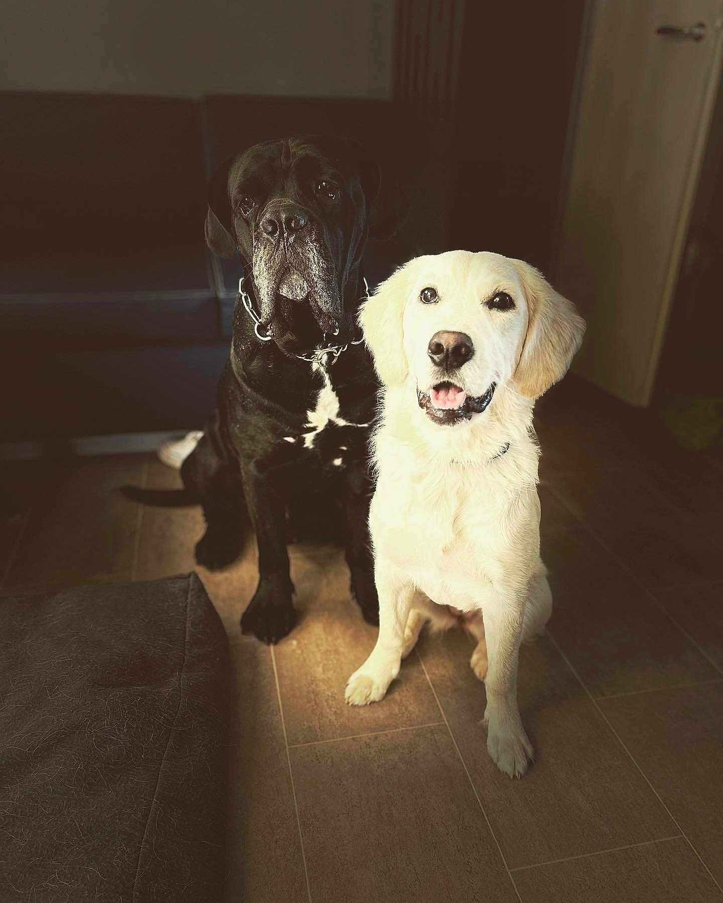 Texas Et Rocky