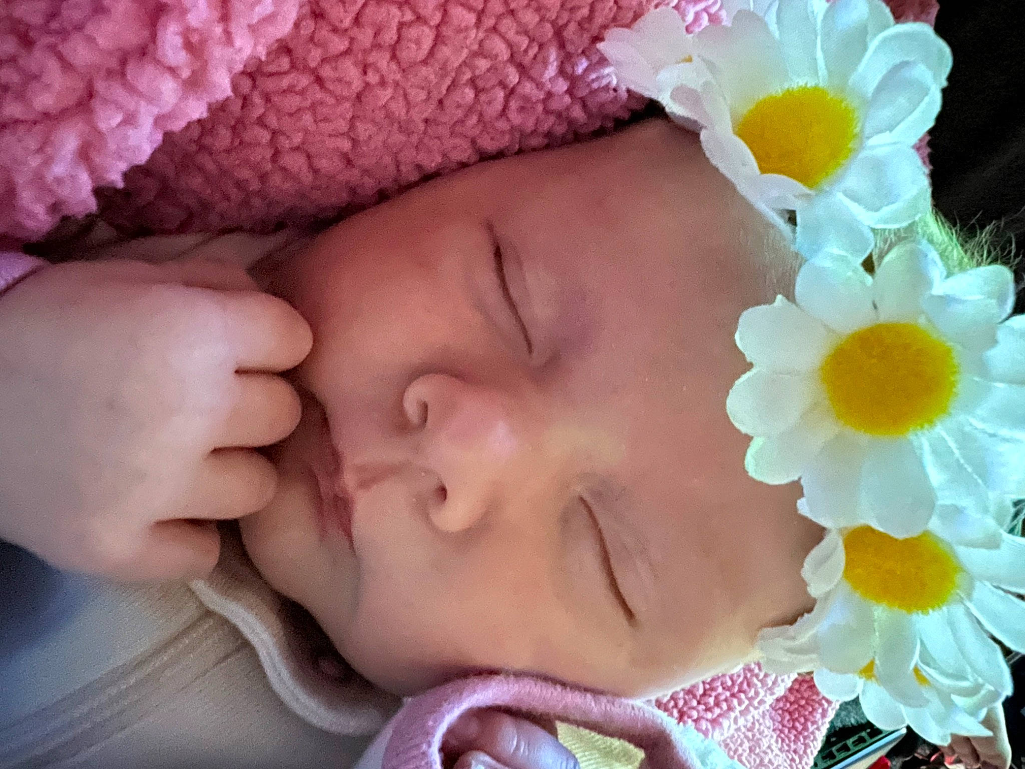Kara is registered to the contest to win money with this photo: baby, baby_sleeping, baby_toddler_clothing, beauty, cheek, child, comfort, eyelash, face, flower, happy, headgear, headwear, iris, lip, nose, person, petal, pink, skin