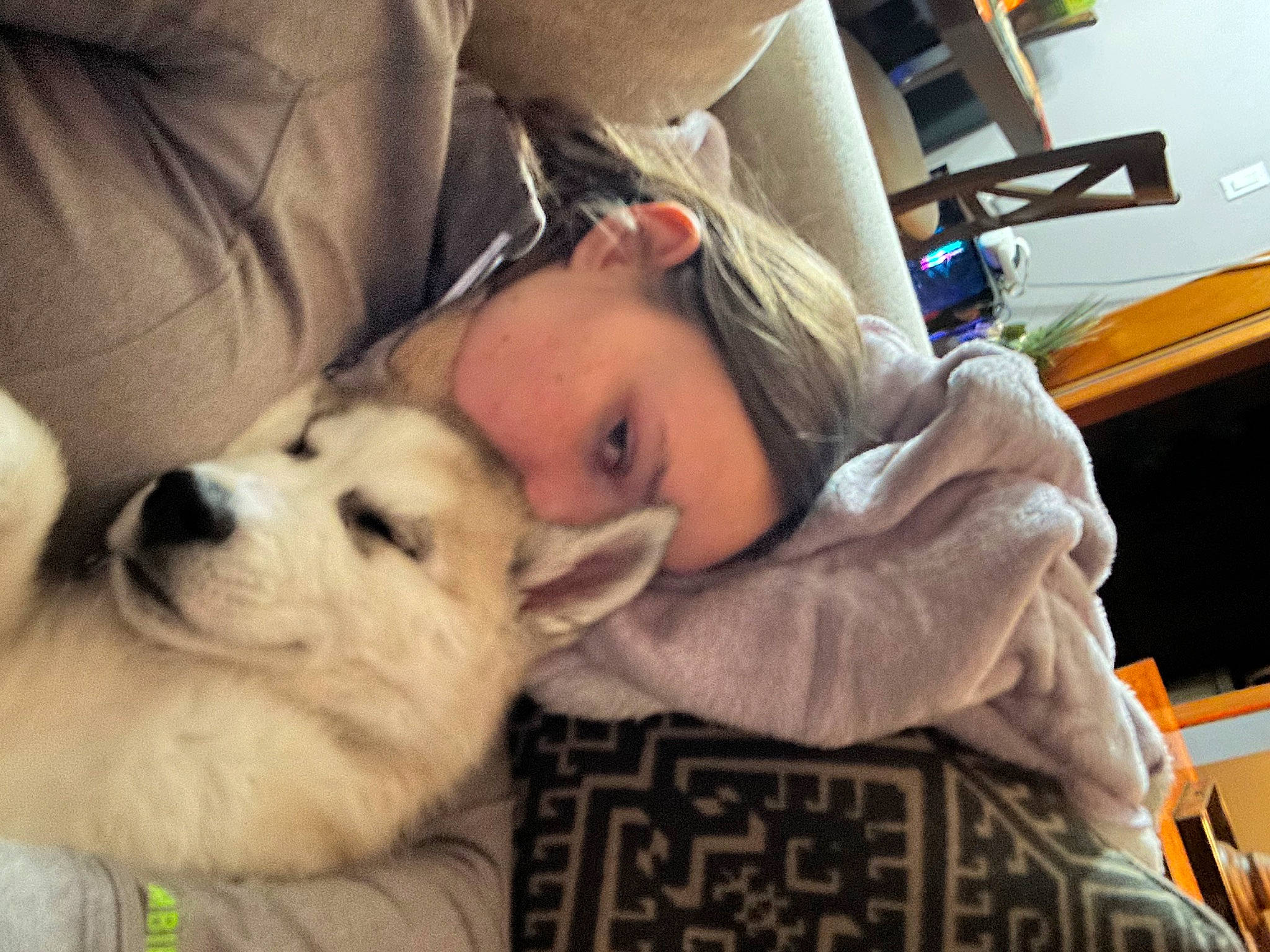 Kenai joined the competition — help win amazing prizes! canidae, carnivore, chair, child, comfort, companion_dog, dog, dog_breed, fawn, felidae, fur, happy, nap, pomeranian, selfie, snout, sporting_group, toddler, toy_dog, whiskers