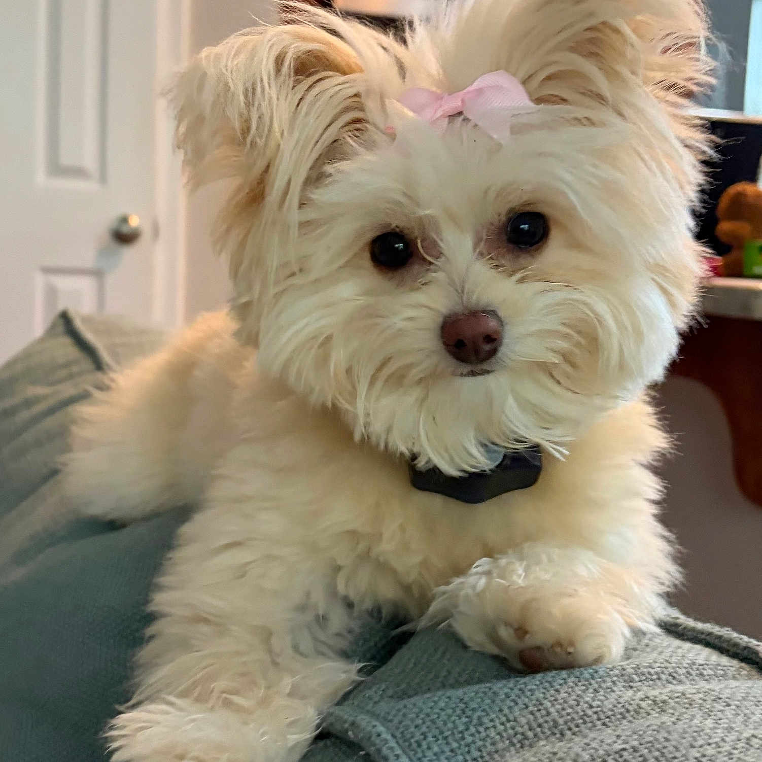 Zoe