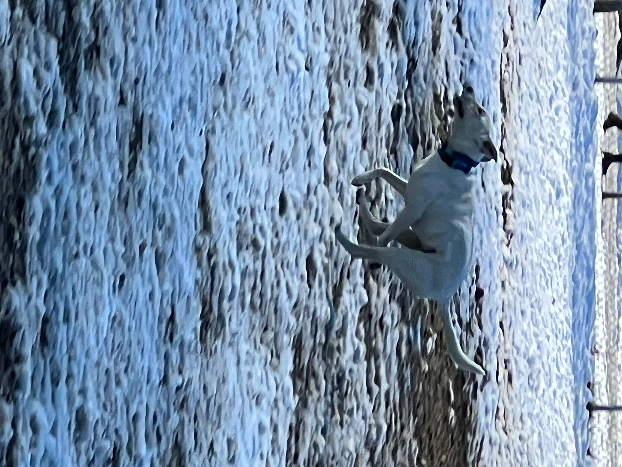 Hero joined the competition — help win amazing prizes! adventure, electric_blue, font, fountain, freezing, frost, fur, mesh, monochrome, monochrome_photography, net, pattern, plant, recreation, reflection, shadow, water, wind_wave, winter, wood