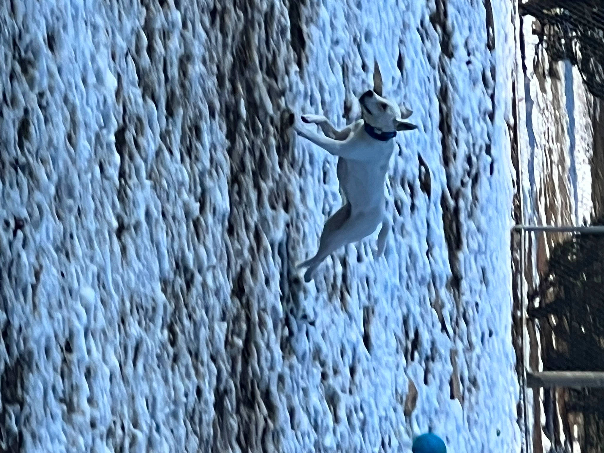 Hero joined the competition — help win amazing prizes! azure, darkness, electric_blue, flash_photography, freezing, grey, hat, metal, monochrome, pattern, rope, shadow, space, still_life_photography, sun_hat, tree, trunk, twig, winter, wood