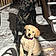 Abby And Lucy