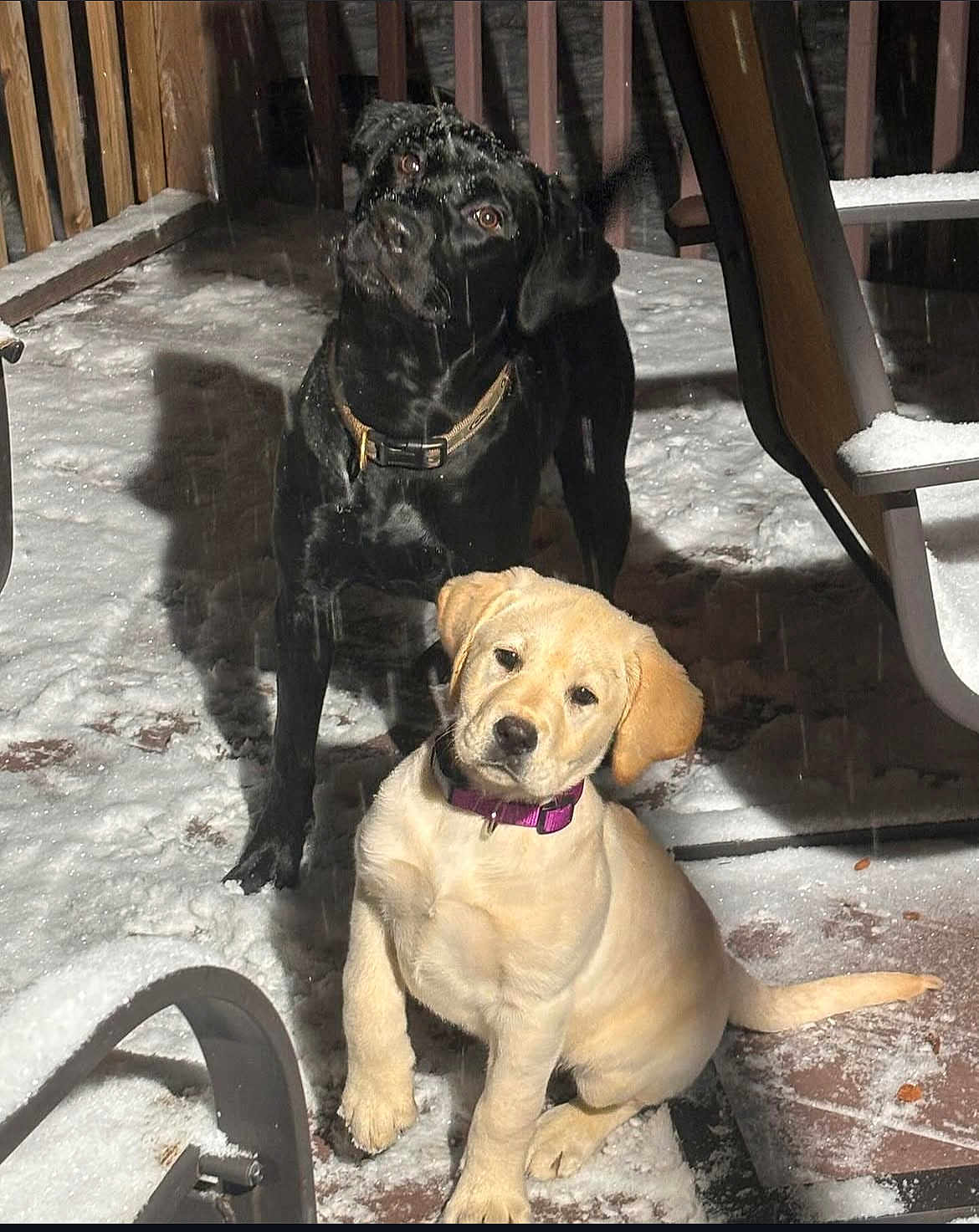 Abby And Lucy