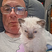 Oreo joined the competition — help win amazing prizes! man, glasses, bald, kitten, cat, fluffy, indoor, chair, sitting, shelf, figurines, vacuum_cleaner, gray_shirt, closeup, pet, home, portrait, furniture, relaxed, casual