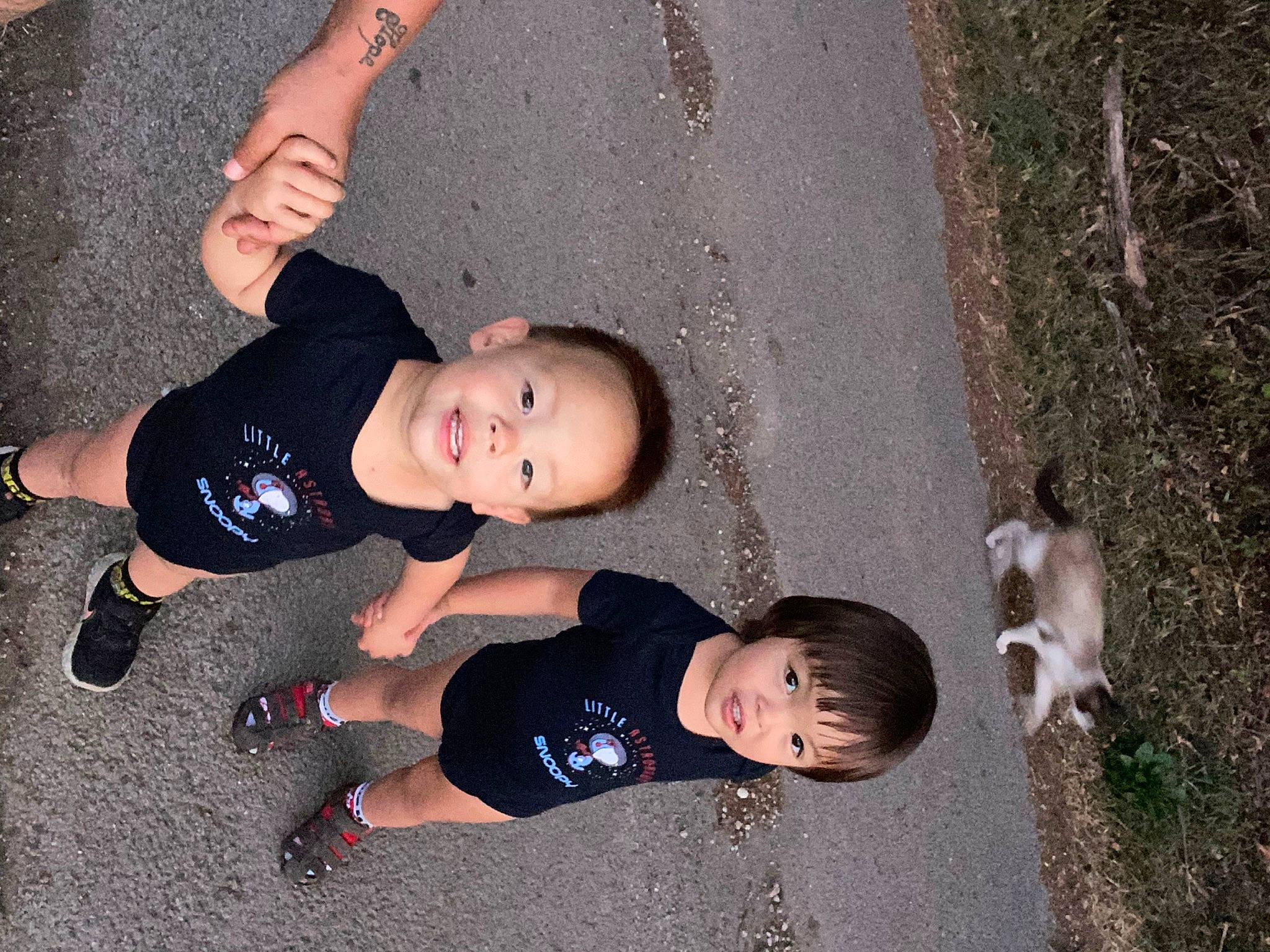 Sohan participe au concours pour gagner de l'argent avec cette photo : adventure, baby, child, fun, fur, grass, happy, joy, knee, leisure, people_in_nature, person, plant, play, recreation, shorts, sitting, smile, soil, t_shirt