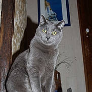 Softy participe au concours pour gagner de l'argent avec cette photo :