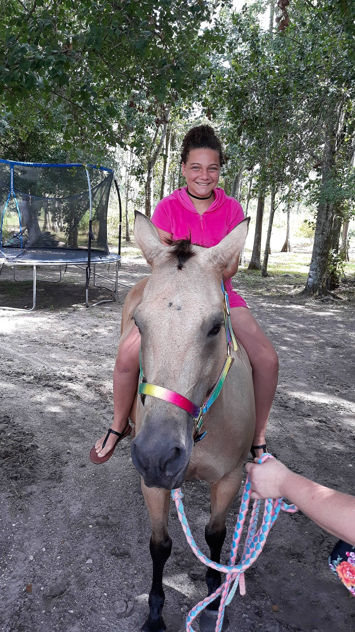 Haisley joined the competition — help win amazing prizes! bridle, equestrianism, fawn, halter, horse, horse_grooming, horse_harness, horse_supplies, horse_tack, joy, mammal, mane, mare, pack_animal, person, pony, recreation, rein, riding_instructor, saddle