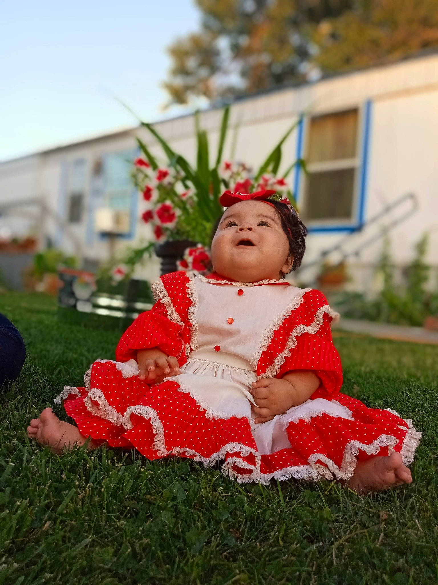 Sarahi is registered to the contest to win money with this photo: baby, baby_toddler_clothing, child, dress, event, flooring, flower, grass, happy, hat, holiday, lawn, leisure, people_in_nature, person, plant, sitting, sky, toddler, tradition